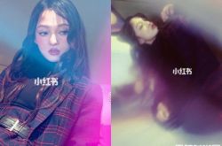 张韶涵用意料之外的小工具 教你用手机拍大片