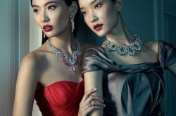 陈碧舸父亲是干什么的？陈碧舸个人资料介绍