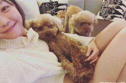 谢欣颖在家穿超辣 衣服往上撩蜜大腿全露