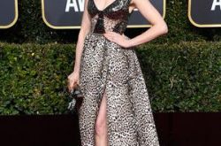 金球奖红毯10丑女星盘点 安海瑟薇豹纹沙发布