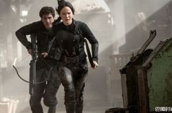 锤弟叫什么名字？锤弟和锤哥是什么关系