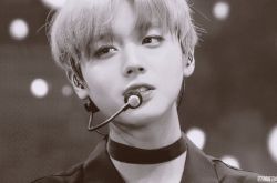 朴志训恋爱史揭秘 朴志训个人资料年龄照片