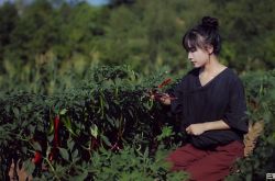 李子柒住在哪里什么山？为什么能俘获网友的芳心