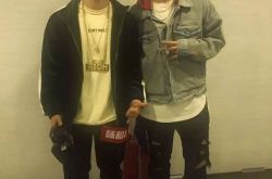 杨和苏是哪个厂牌的 杨和苏家庭背景揭秘