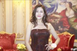 香港陈熙蕊个人资料简介 2019港姐夺冠热门之一