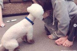 具荷拉爱犬独坐主人合照前 生前和亲哥哥对话曝光