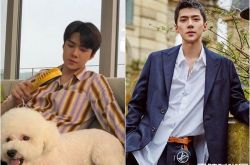 EXO世勋豪宅曝光 砸33亿买6层豪宅