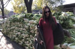 欧丽娅年龄身高哪里人 外籍艺人展现迷人风采