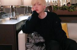 安宰贤深夜发文请忘记我 患抑郁症粉丝心疼