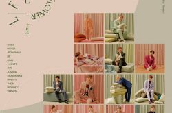 SEVENTEEN专辑日单销量突破55万张 获得双白金认证