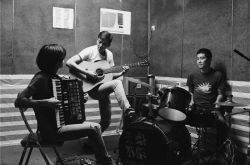 五条人乐队有多火？为什么突然火了