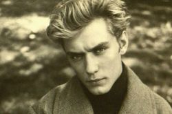 裘德洛带老婆儿子上街 好莱坞美男退化成秃头大叔