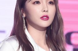 洪真英硕士论文鉴定结果出炉 朝鲜大学最终判定为剽窃