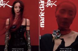 那英红纱罩头登封面 粉丝不解太奇葩