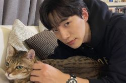 2PM俊昊居家生活曝光 形象超反差逗猫