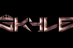 中韩女团SKYLE成员资料简介 