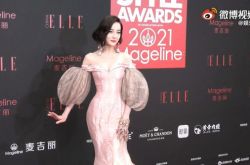 迪丽热巴穿礼服正翻 红毯人员看到呆住了