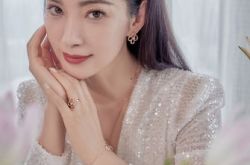 李冰冰不老神话破灭 零修图脸部僵硬照曝光