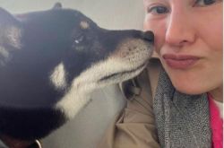 51岁李嘉欣晒素颜近照 脸蛋真实状态曝光