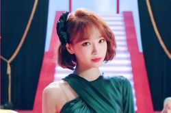 IZ*ONE金采源任小樱花新团队长