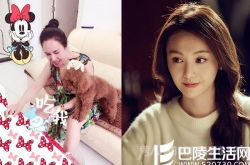 郑爽妈妈近照背景曝光 明星父母颜值PK