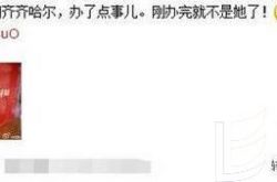 沈腾王琦清迈大婚 好搭档马丽没空出席