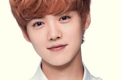 鹿晗被逼车险些出车祸,离偶像的生活远一点