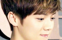 鹿晗家庭背景良好,鹿晗微博创吉尼斯