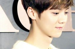 全球最帅榜排名,鹿晗个人资料