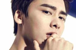 李易峰2015上海演唱会现场火爆,李易峰近日动态