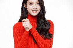 金雪炫的个人介绍,金雪炫的作品