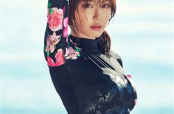 《我结婚了》完美搭档,夙愿夫妇退出《我结婚了》