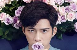 井柏然同郑爽的关系,井柏然的星路历程