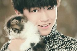 纪欣妤和王凯秘恋被爆, 绯闻疯传的原因