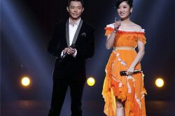 凤凰传奇成不了夫妻,凤凰传奇心照不宣之路