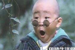 揭秘郝邵文近况, 解读童星为何风采不再