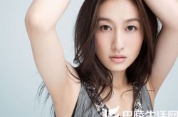 董维嘉个人介绍,董维嘉作品