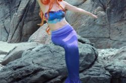 甘婷婷和杜淳的合作,甘婷婷杜淳录节目