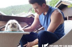 丁汇宇个人介绍,丁汇宇参演电视剧