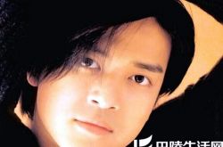 陈晓东有割双眼皮吗,陈晓东为什么被雪藏