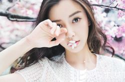 angelababy怀孕的真假,angelababy的个人资料