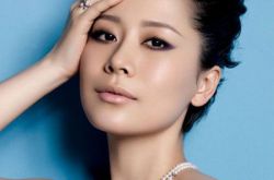 海清个人资料,海清电视剧解说