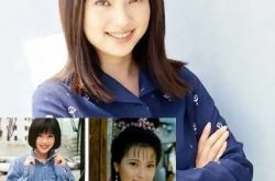 傅明宪个人资料,傅明宪年轻时候的照片曝光