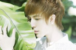 郭敬明稳居福布斯作家富豪榜榜首,夏至未至即将开拍