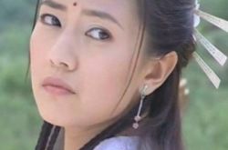 高圆圆演过的电视剧,赵又廷高圆圆结婚