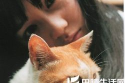 奥仲麻琴简介,奥仲麻琴图片