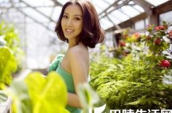 高露家庭背景,高露演艺经历