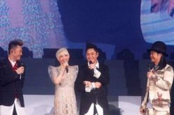 歌手陈慧娴,陈慧娴30周年演唱会