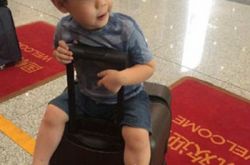 杜宇麒个人资料,杜宇麒萌照