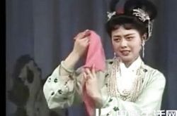 邓淑丽简介,邓淑丽演过的电视剧